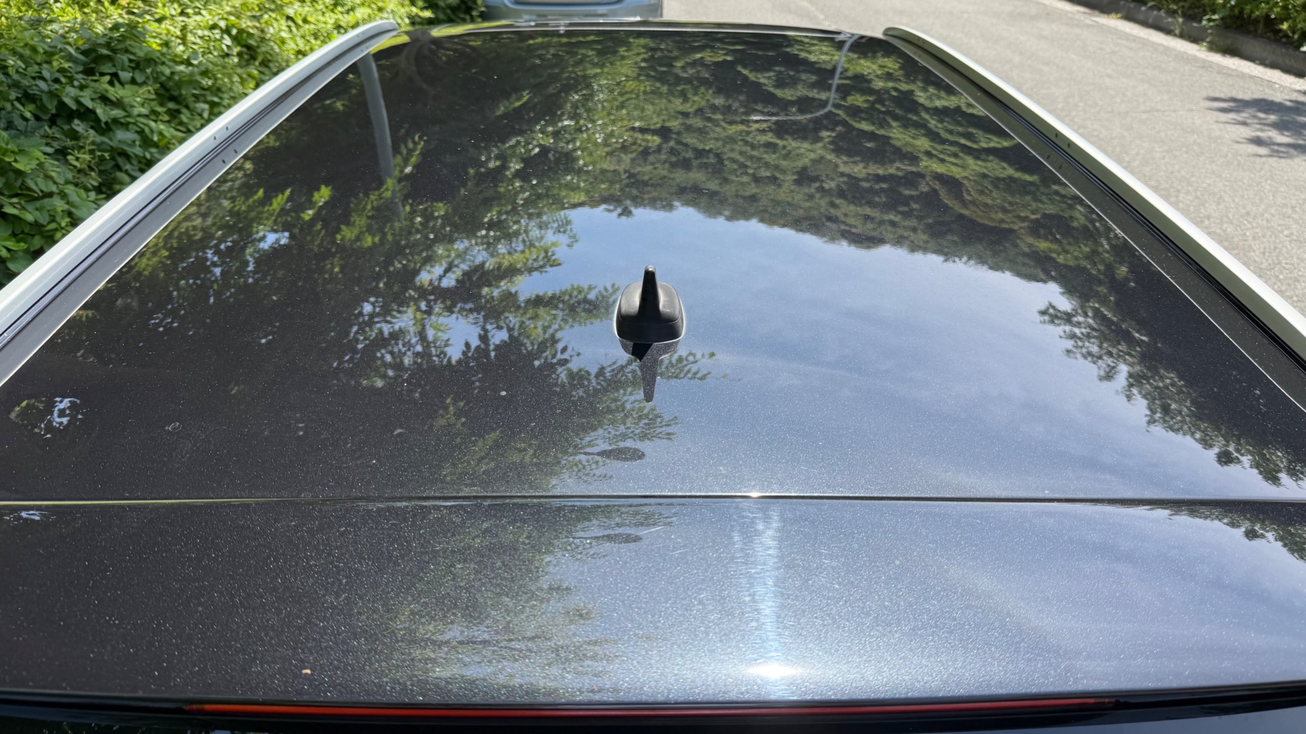 正面ルーフ