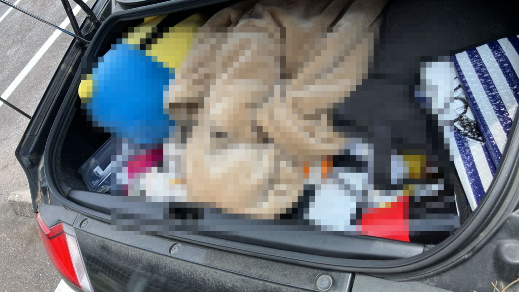 内装トランク
