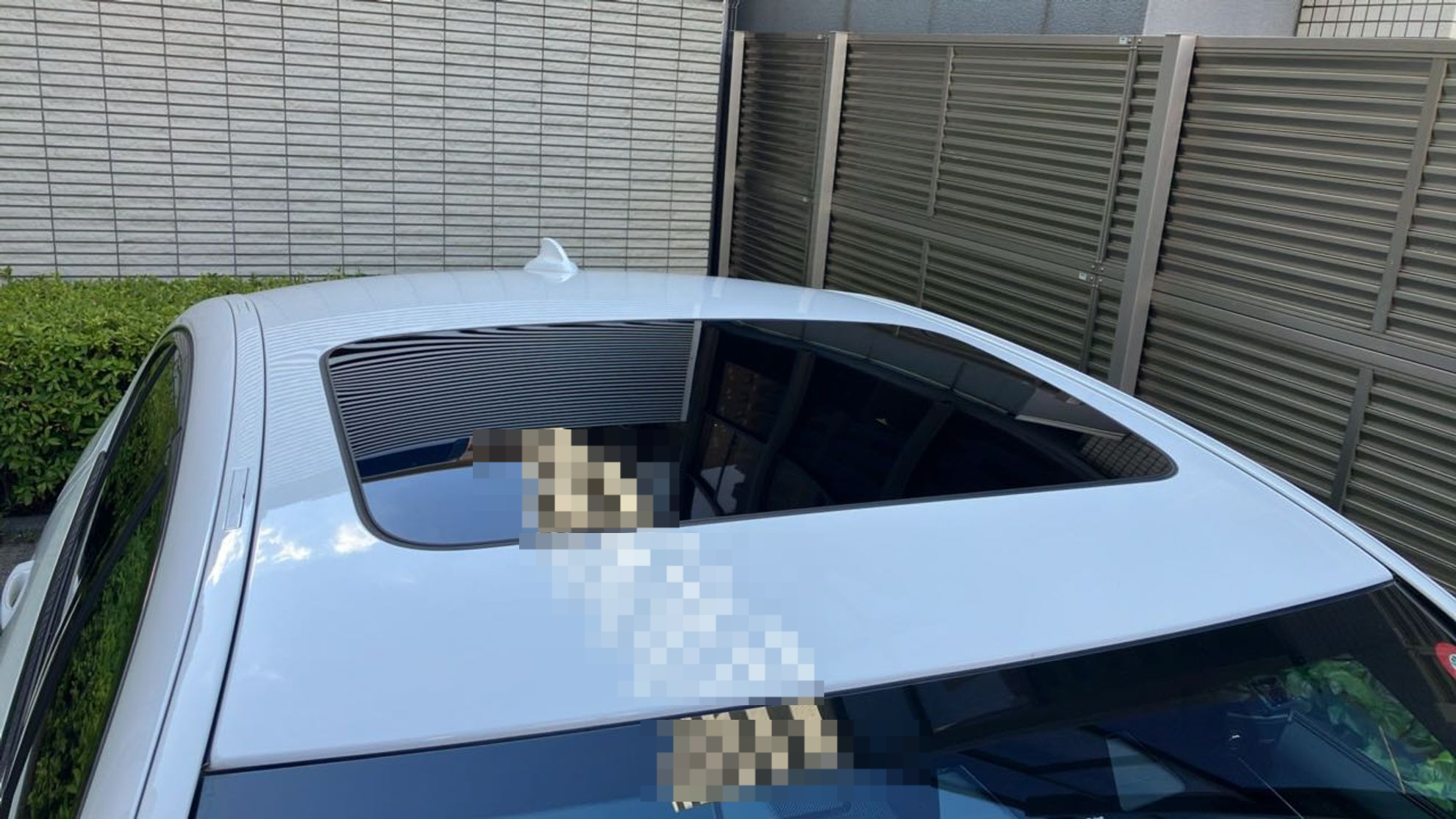 正面ルーフ