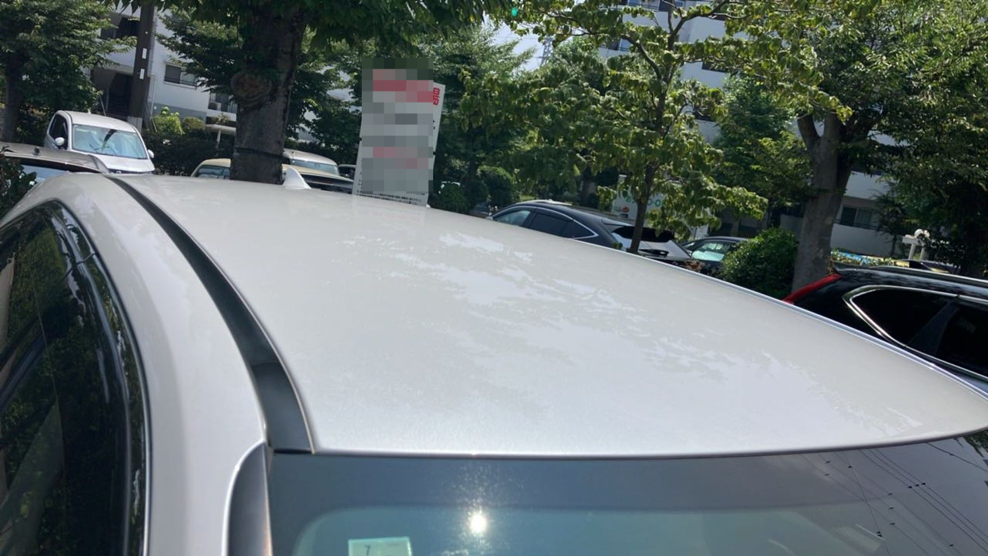 正面ルーフ