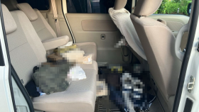 内装後方シート