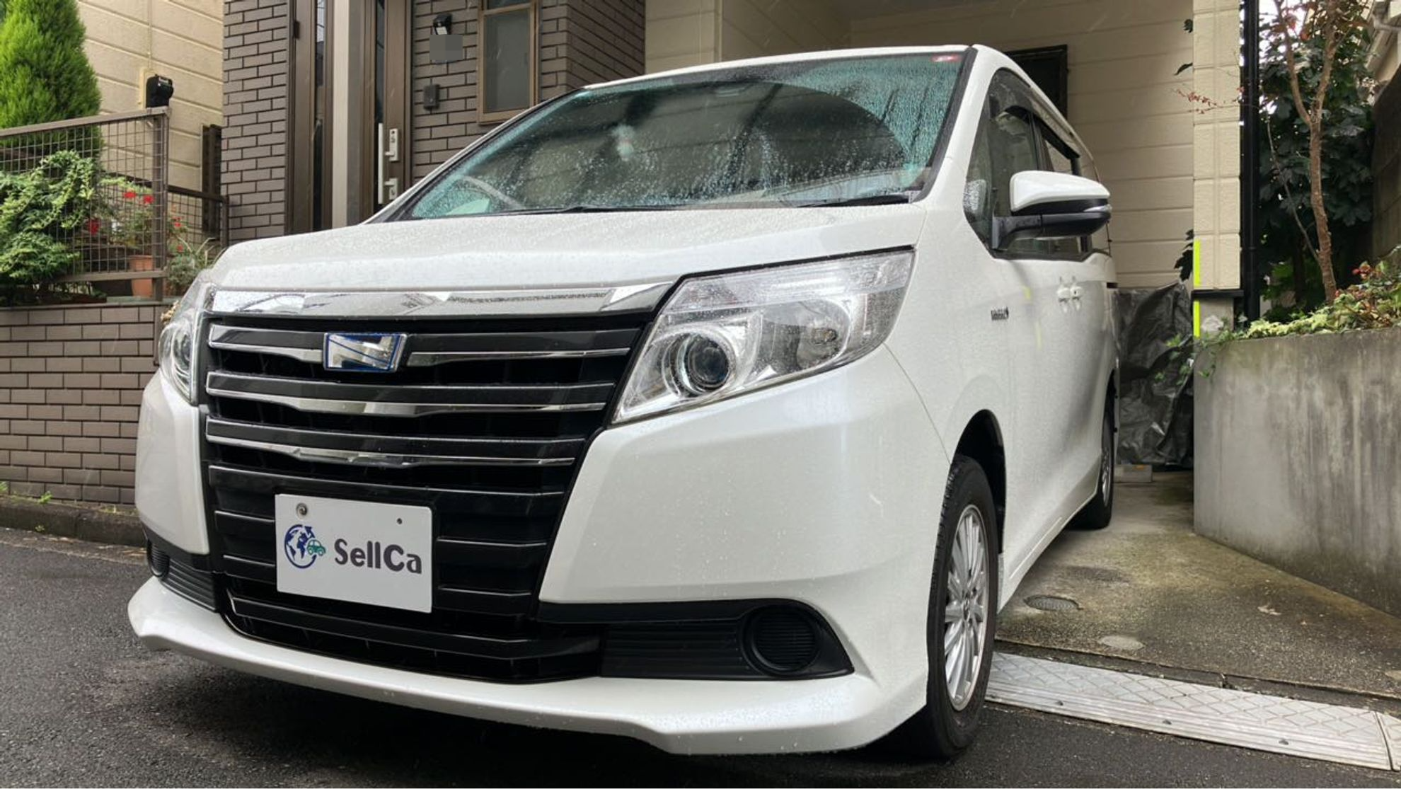 トヨタ ノアの売買実績画像