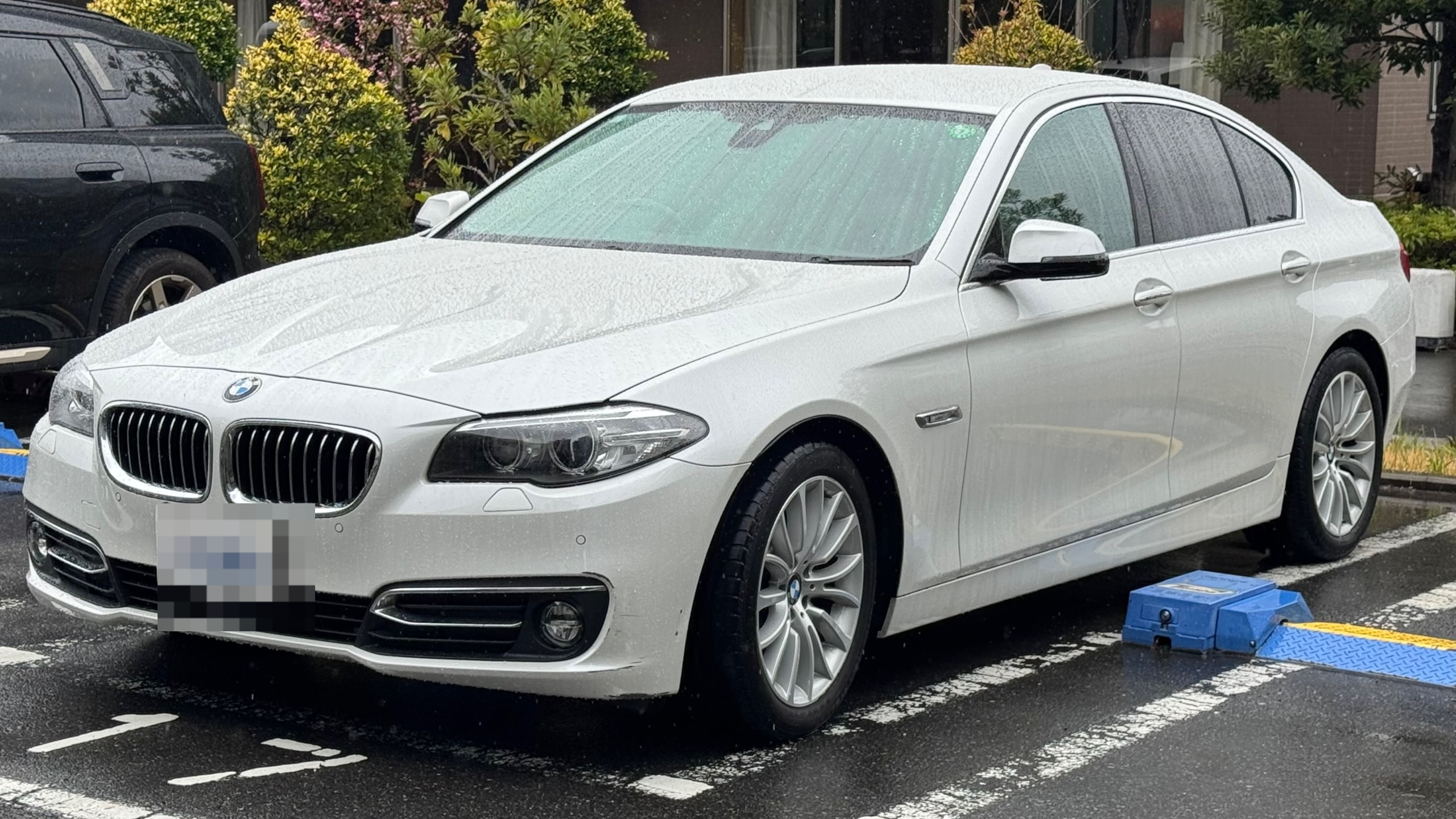 ＢＭＷ ５シリーズの売買実績画像