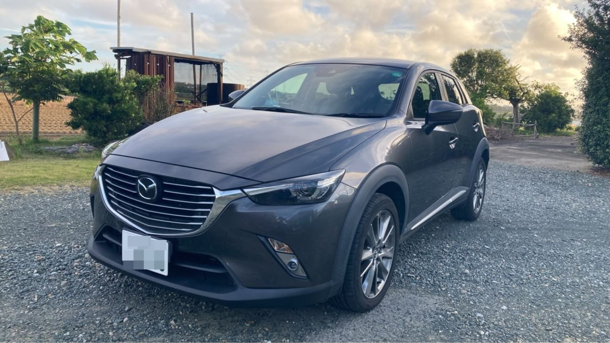 マツダ ＣＸ－３の売買実績画像