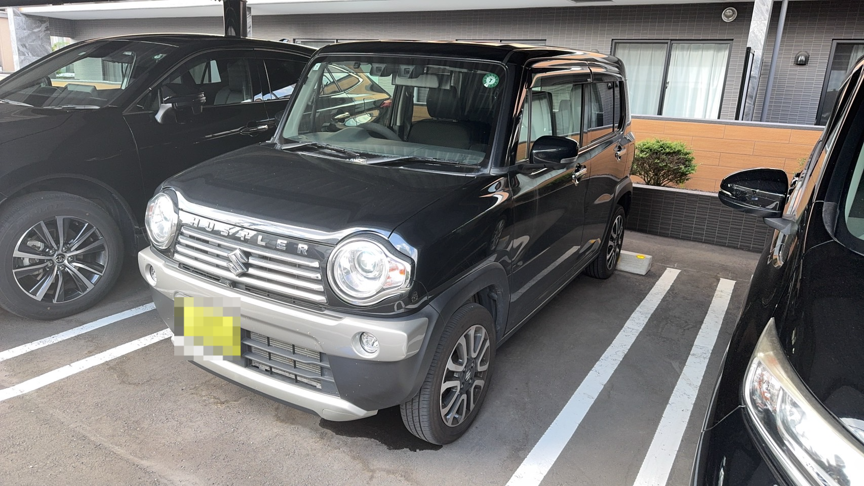 スズキ ハスラーの売買実績画像