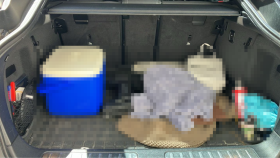 内装トランク