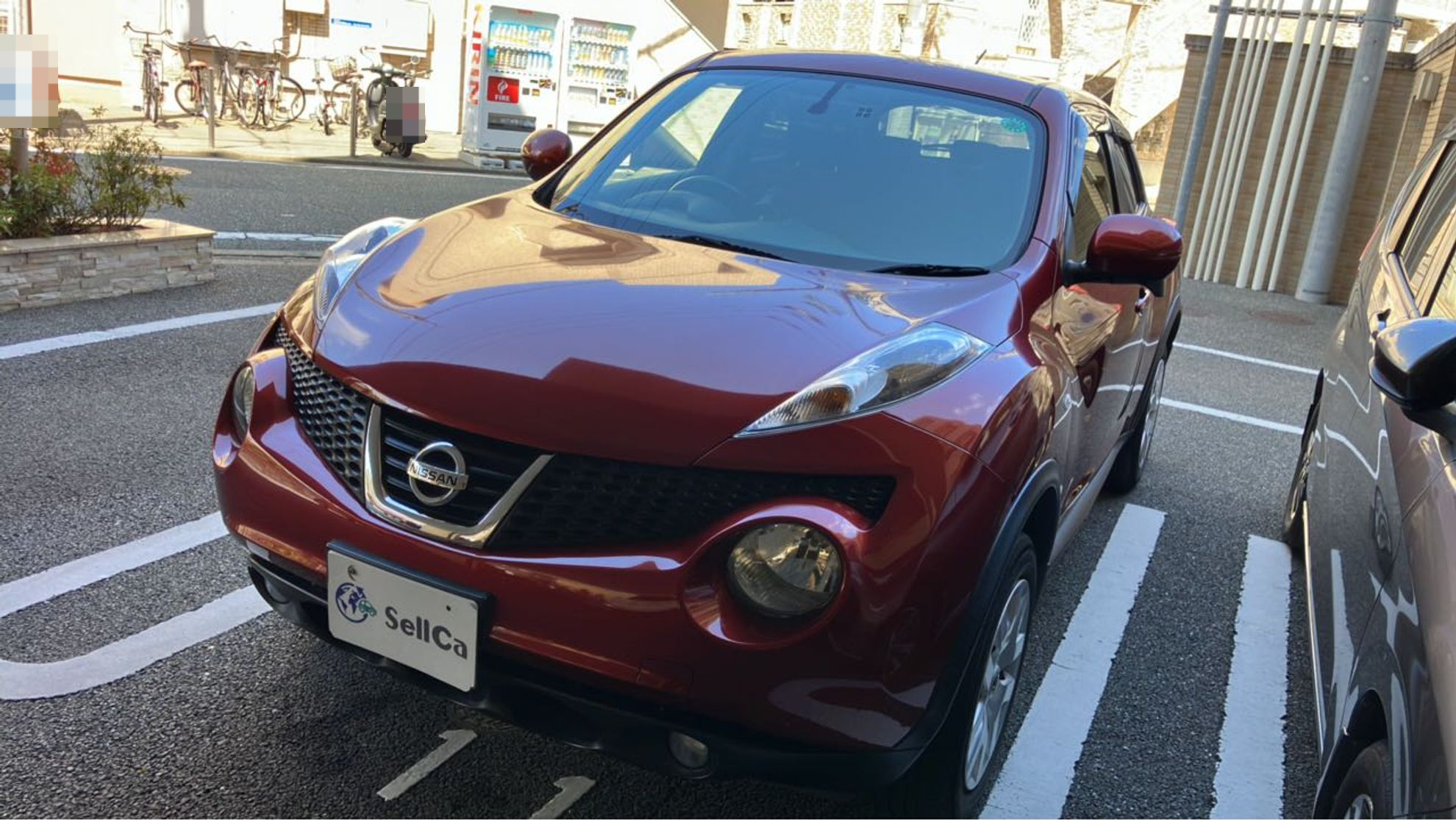 日産 ジュークの売買実績画像