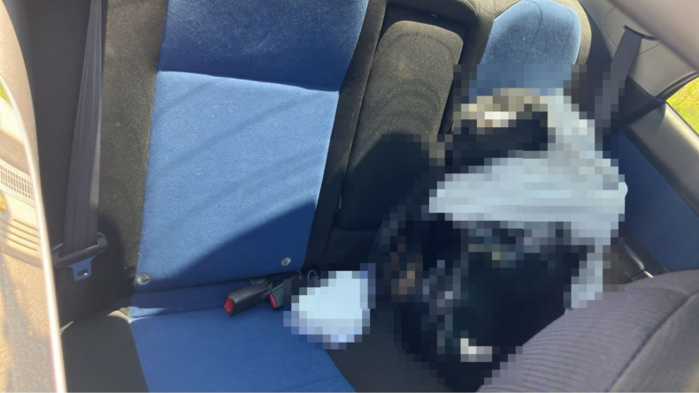 内装後方シート