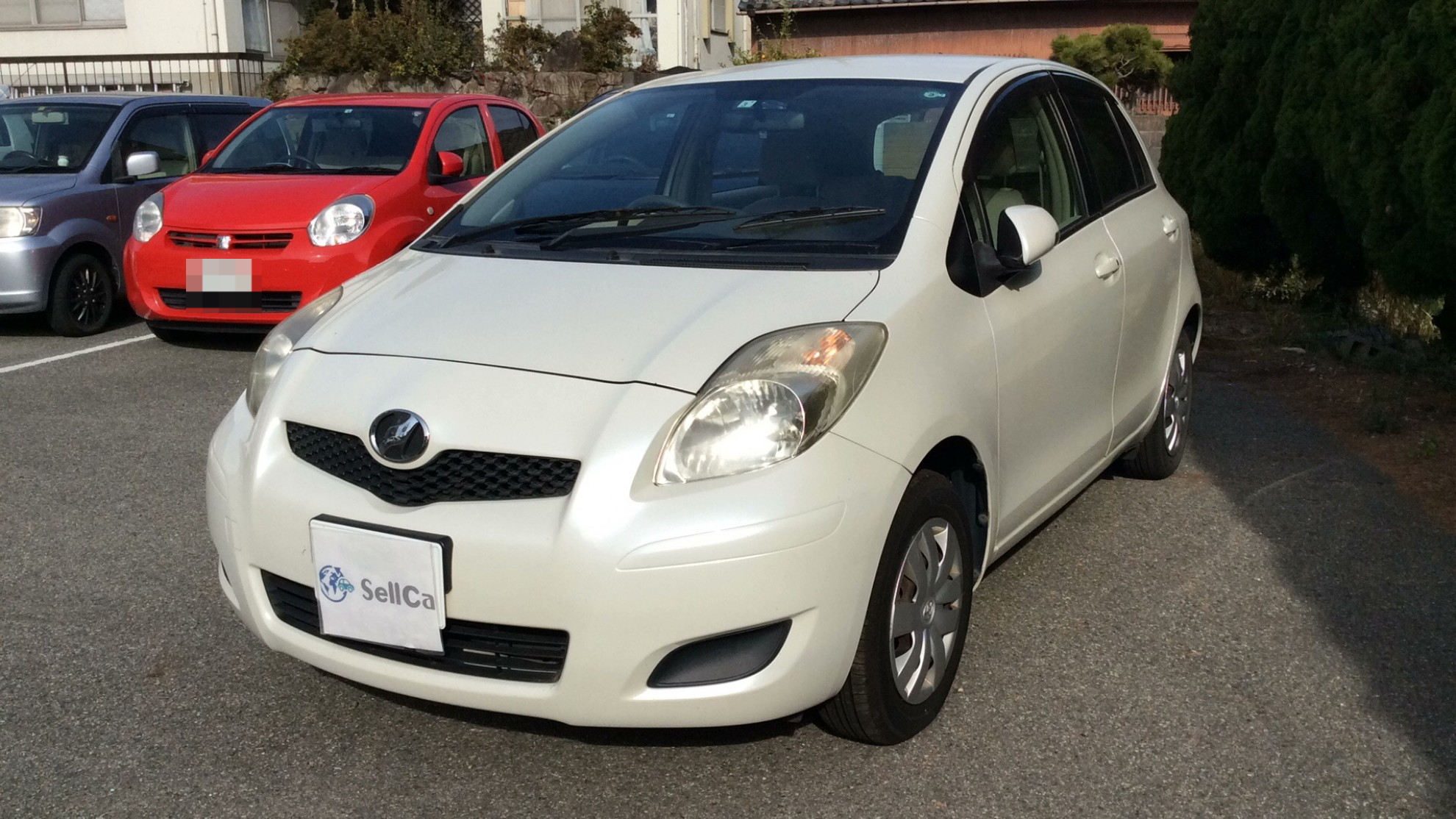 トヨタ ヴィッツの売買実績画像