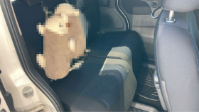 内装後方シート