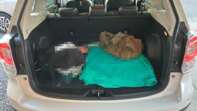 内装トランク