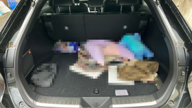 内装トランク