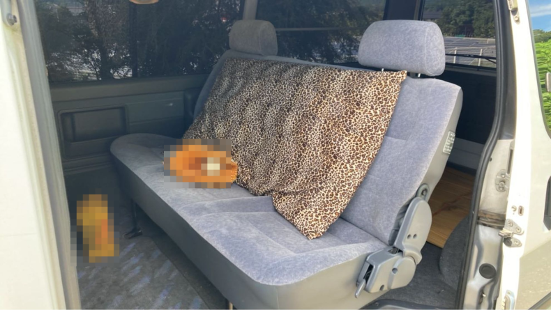 内装後方シート