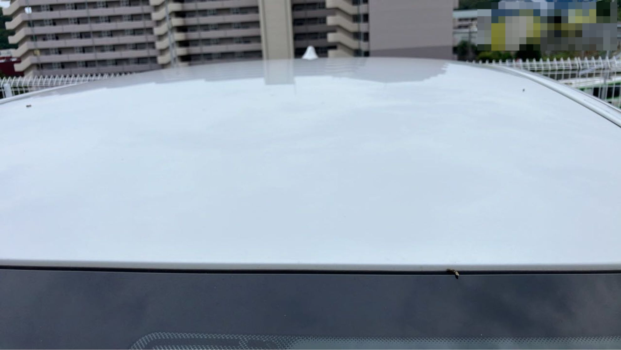正面ルーフ