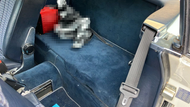 内装後方シート