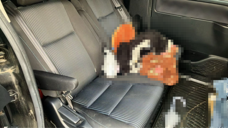 内装後方シート