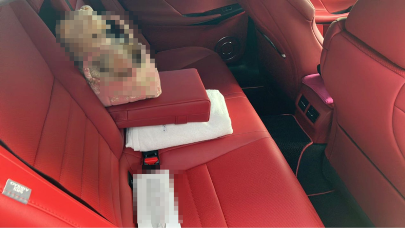 内装後方シート