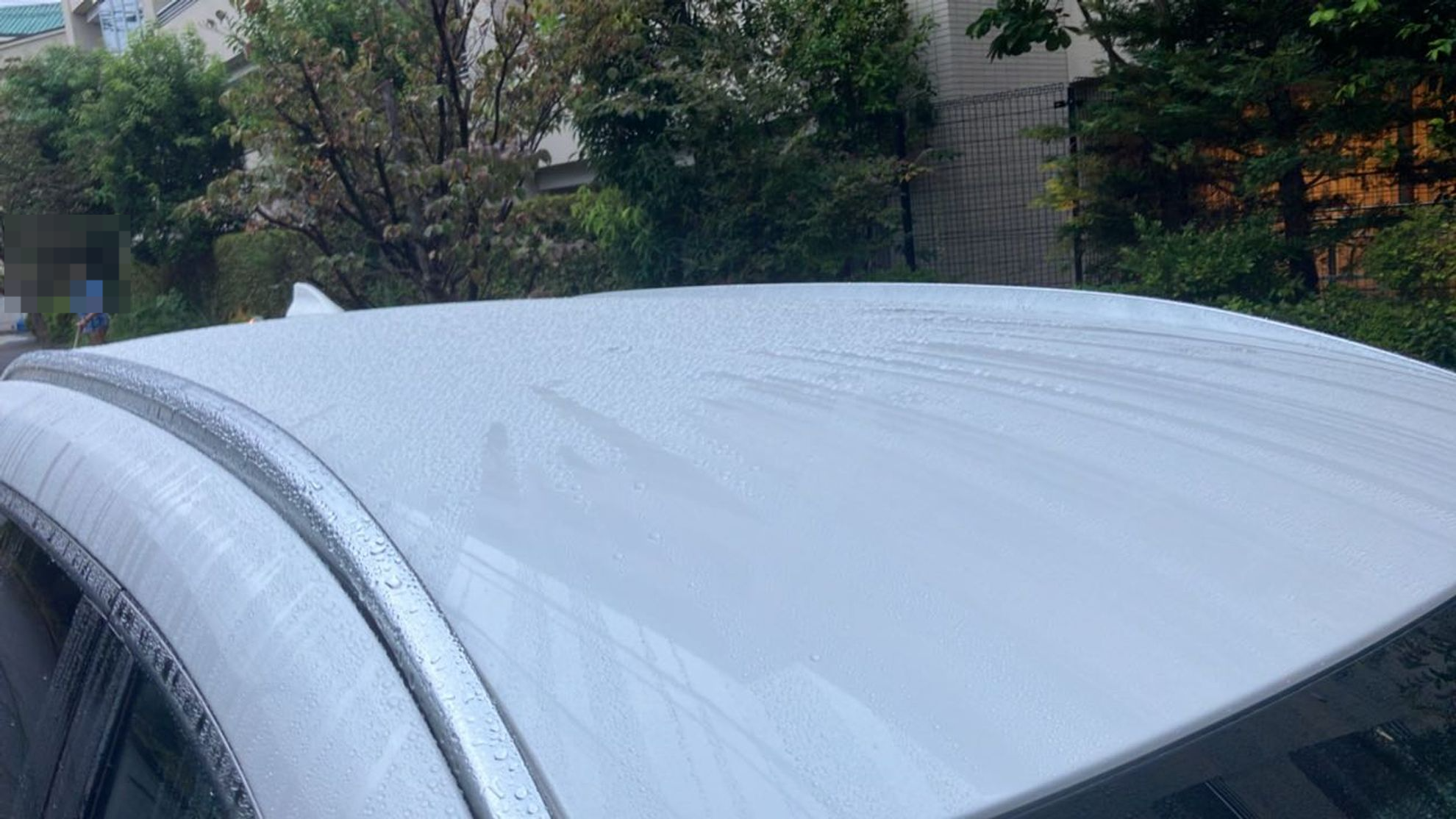 正面ルーフ