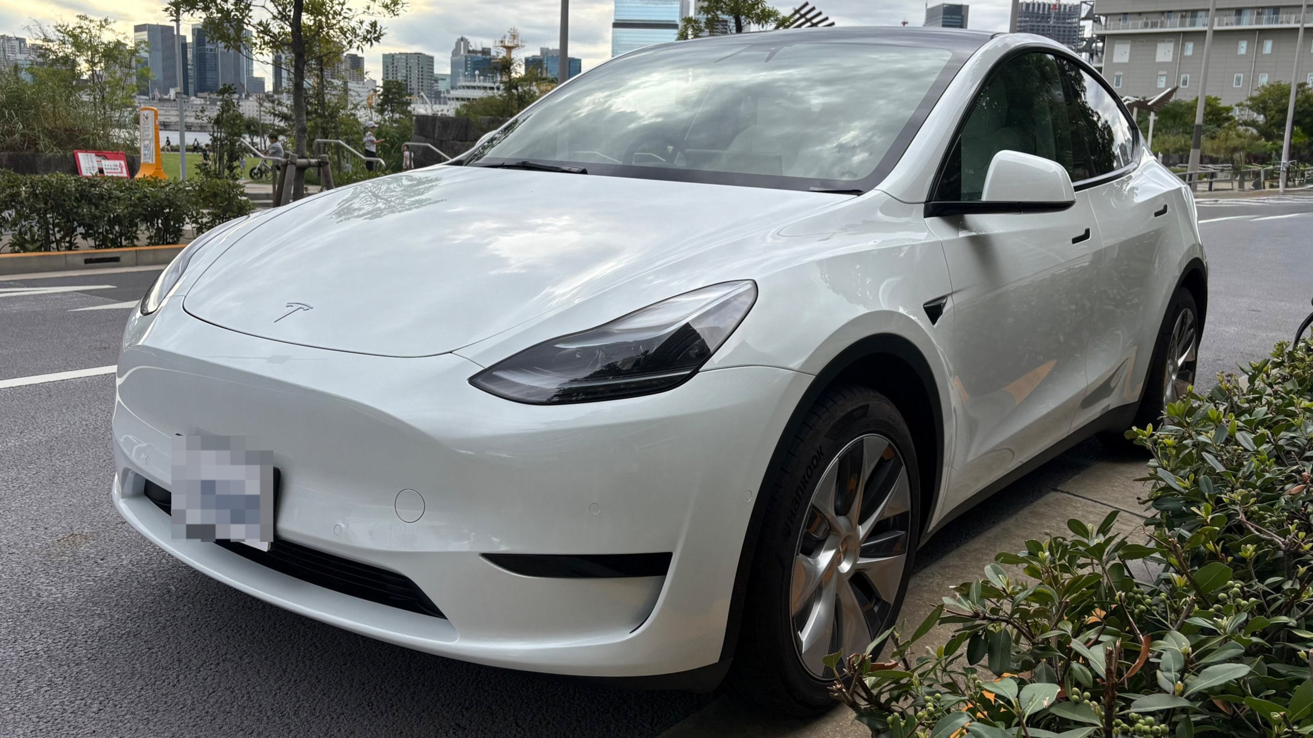 テスラ モデルＹの売買実績画像