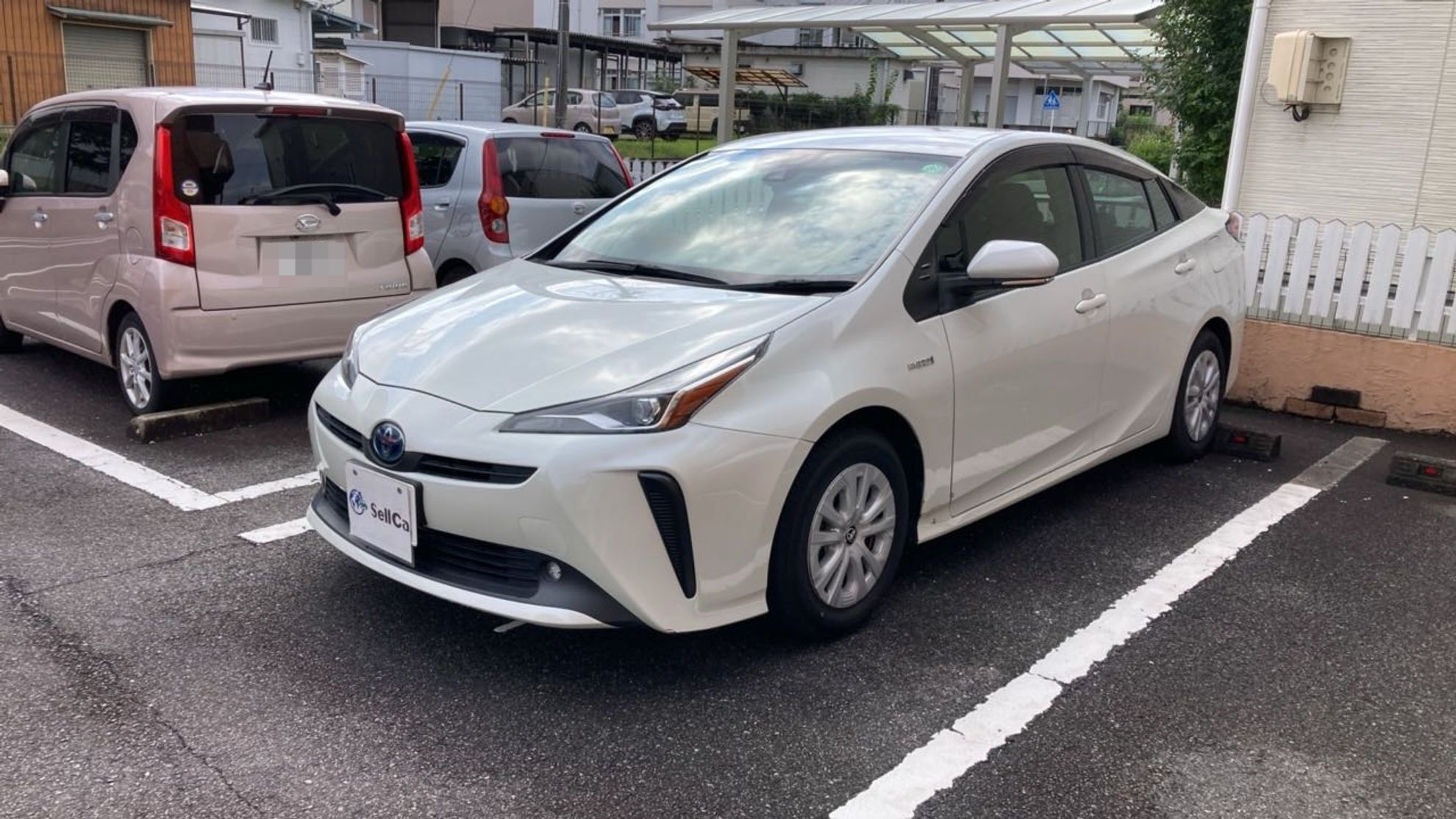 トヨタ プリウスの売買実績画像