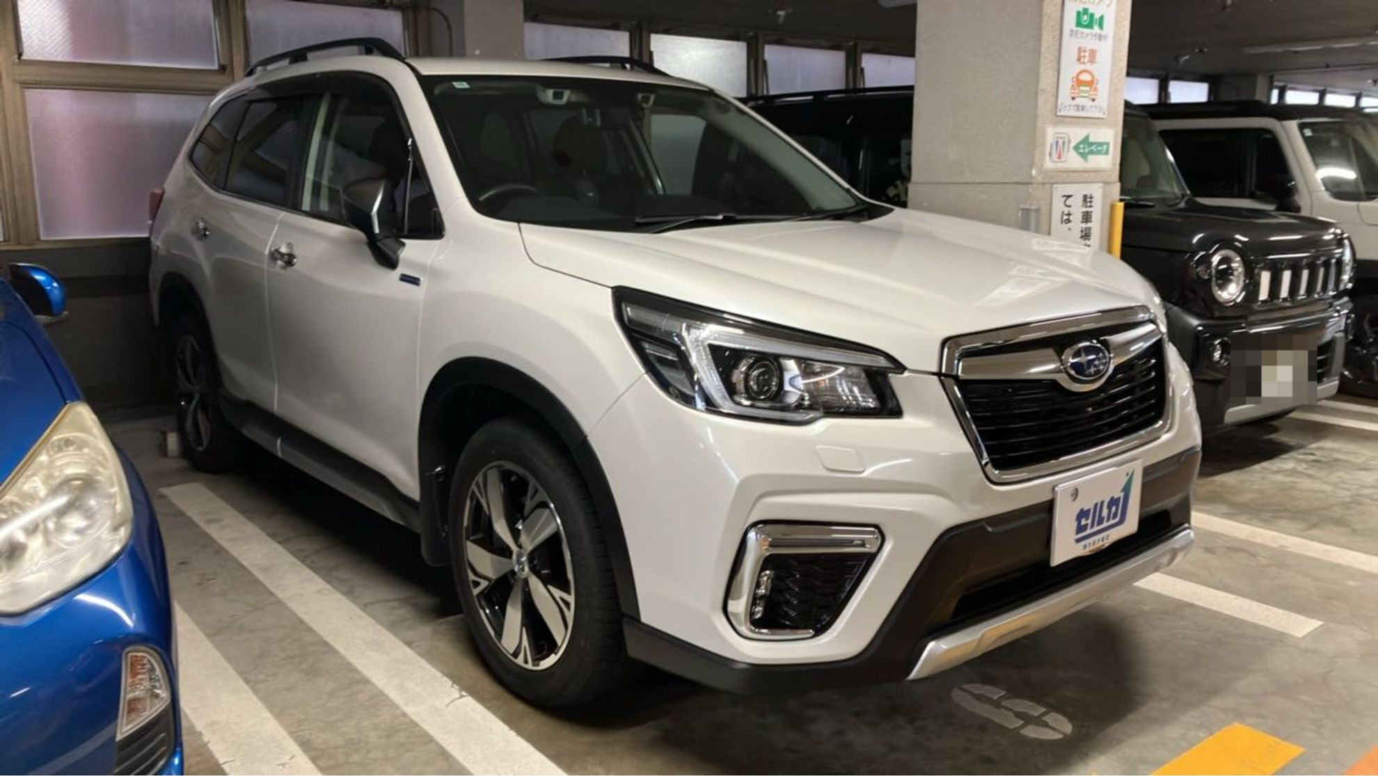 スバル フォレスターの売買実績画像