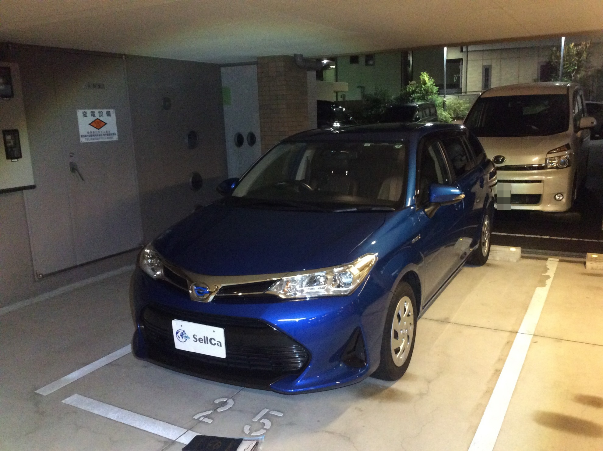 トヨタ カローラフィールダーの売買実績画像