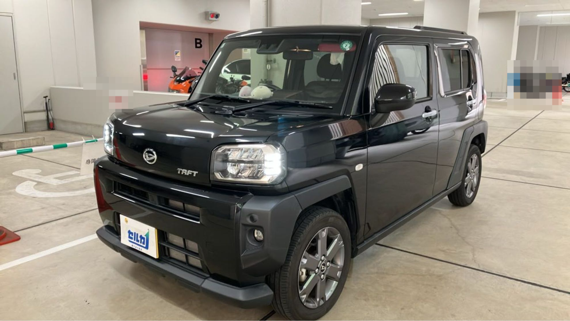 ダイハツ タフトの売買実績画像