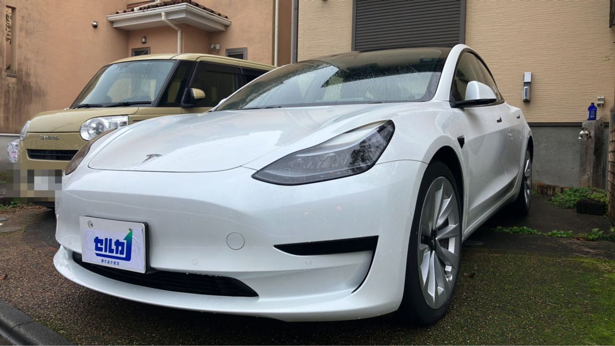 テスラ モデル３の売買実績画像