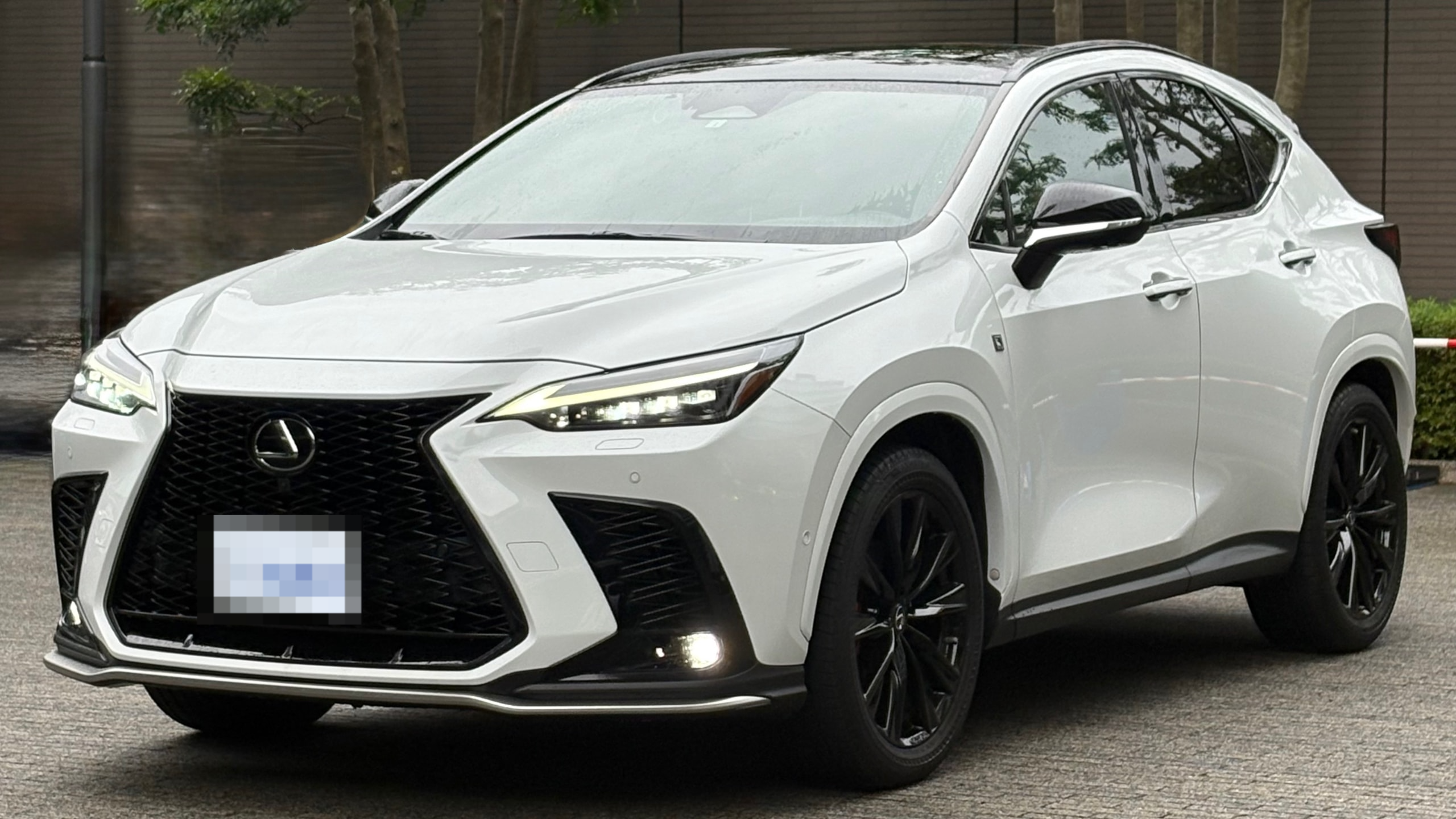 レクサス ＮＸの売買実績画像