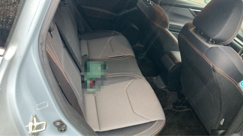 内装後方シート