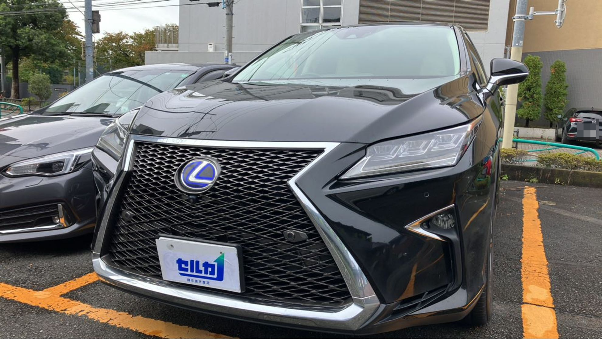 レクサス ＲＸの売買実績画像