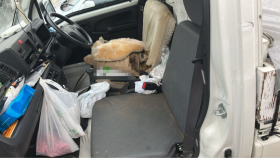 内装前方シート