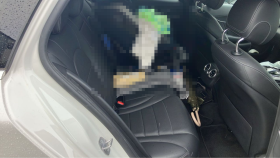 内装後方シート