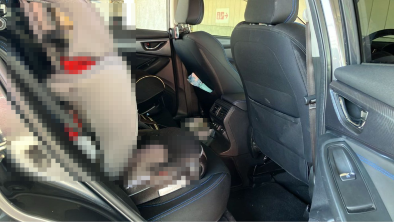 内装後方シート