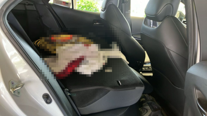 内装後方シート