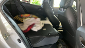 内装後方シート