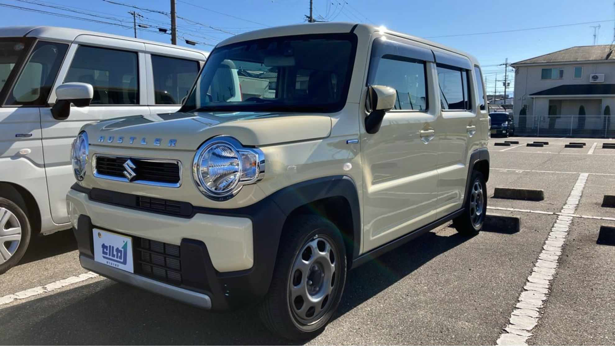 スズキ ハスラーの売買実績画像