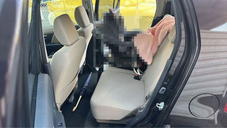 内装後方シート