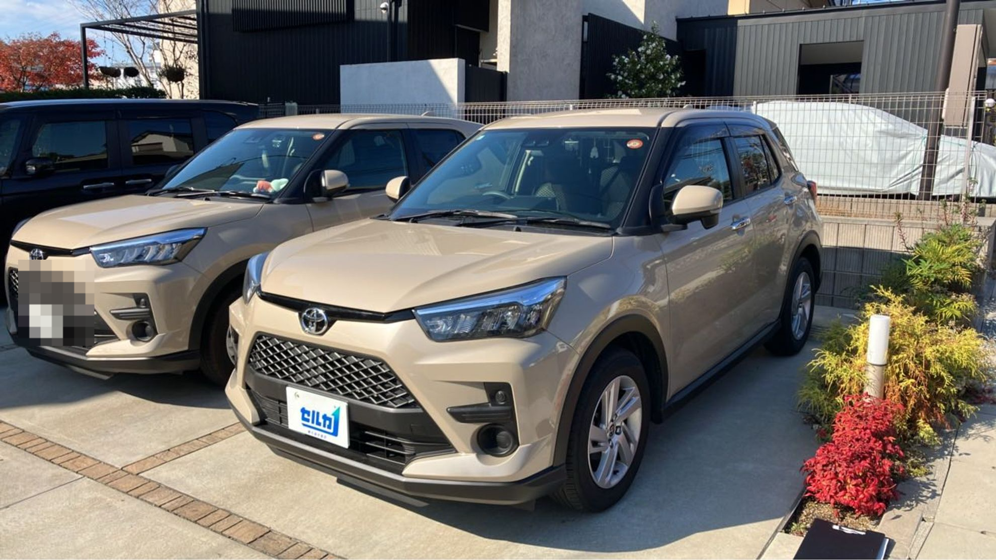 トヨタ ライズの売買実績画像