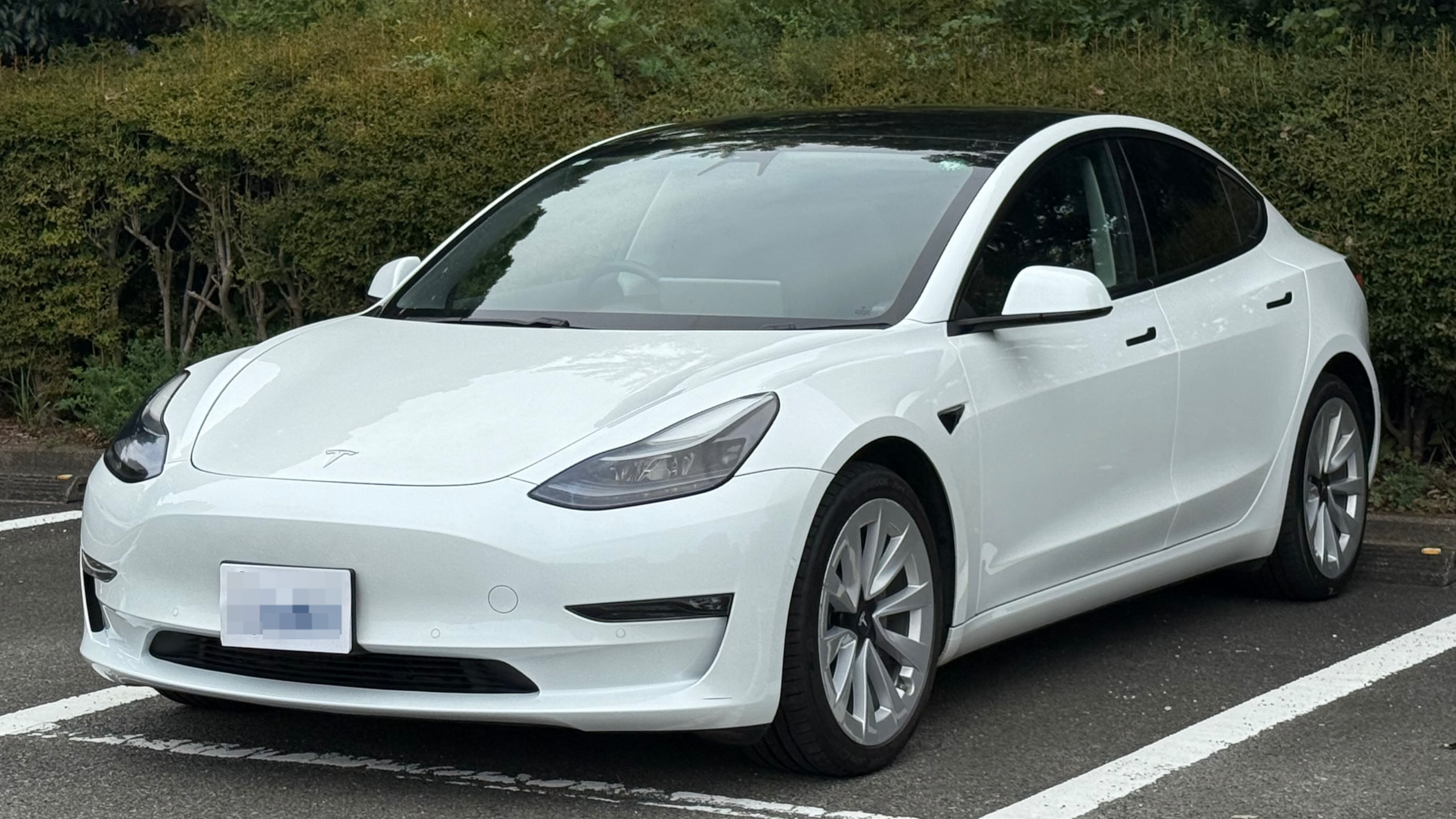 テスラ モデル３の売買実績画像