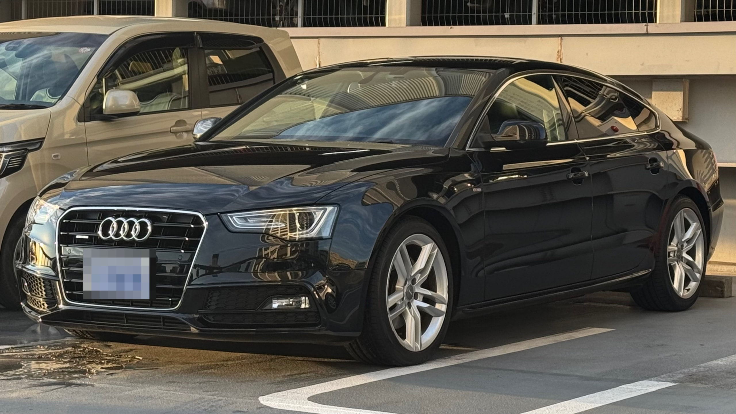 アウディ Ａ５スポーツバックの売買実績画像