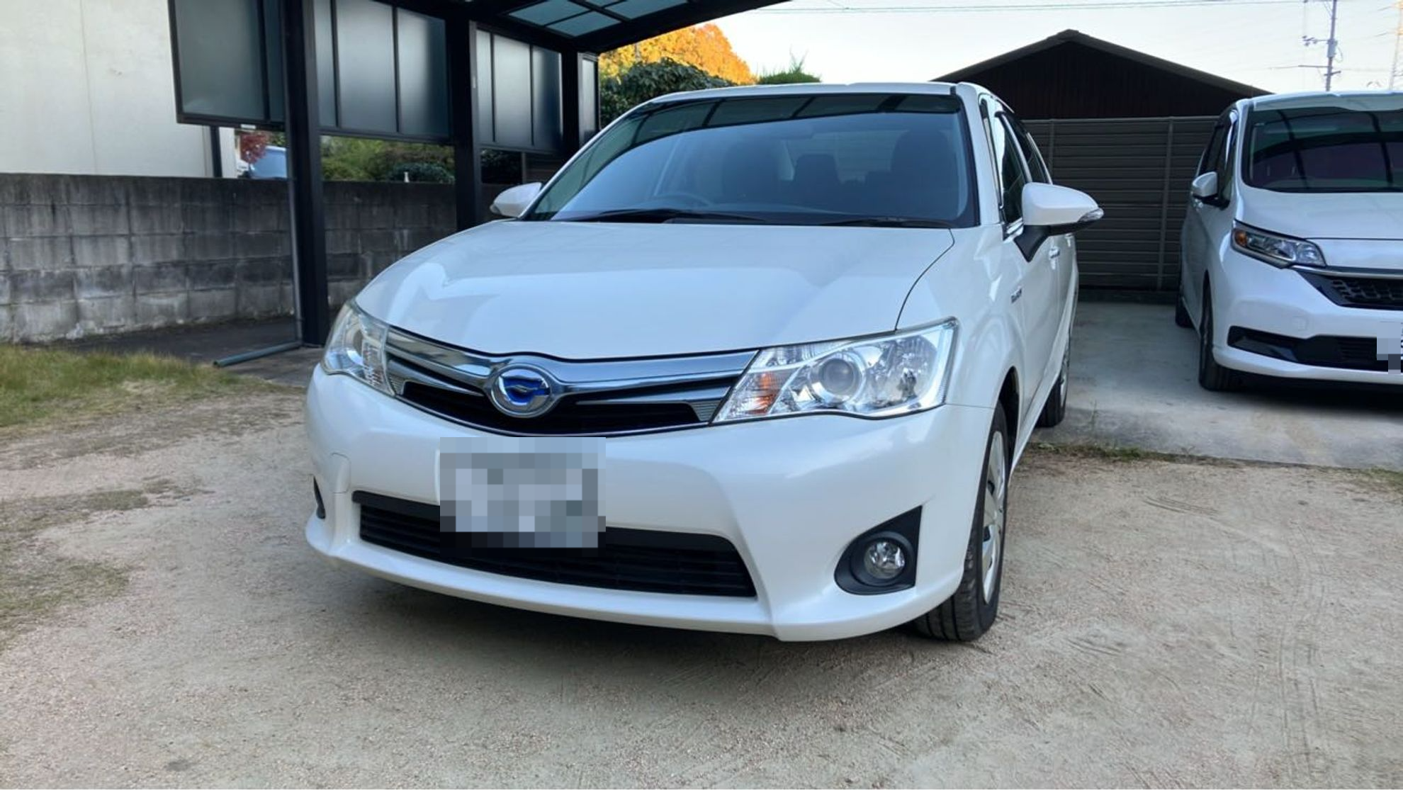 トヨタ カローラアクシオの売買実績画像