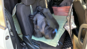 内装後方シート