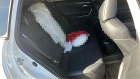 内装後方シート