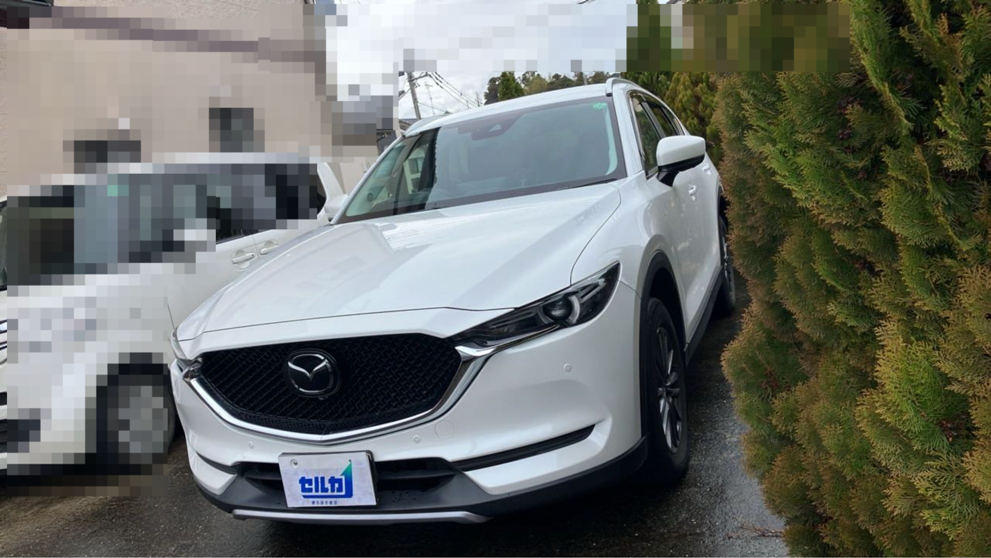 マツダ CX-5の売買実績画像
