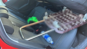 内装後方シート