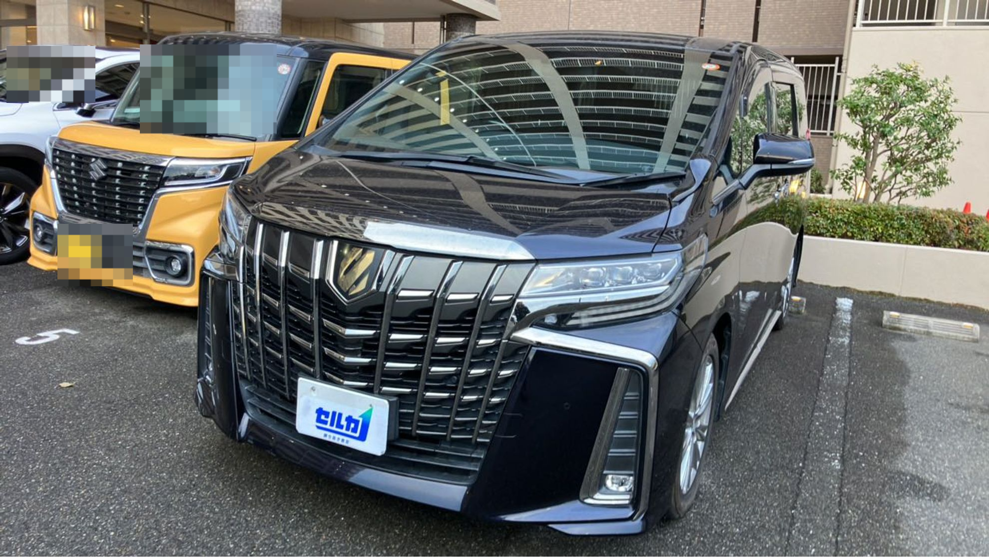 トヨタ アルファードの売買実績画像