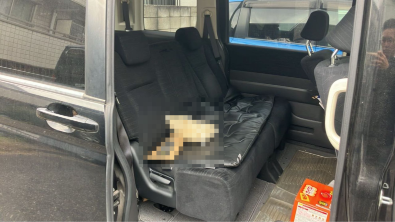 内装後方シート