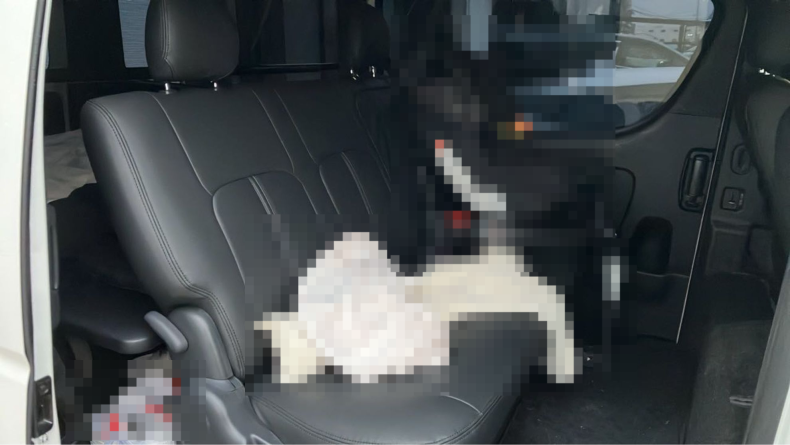 内装後方シート