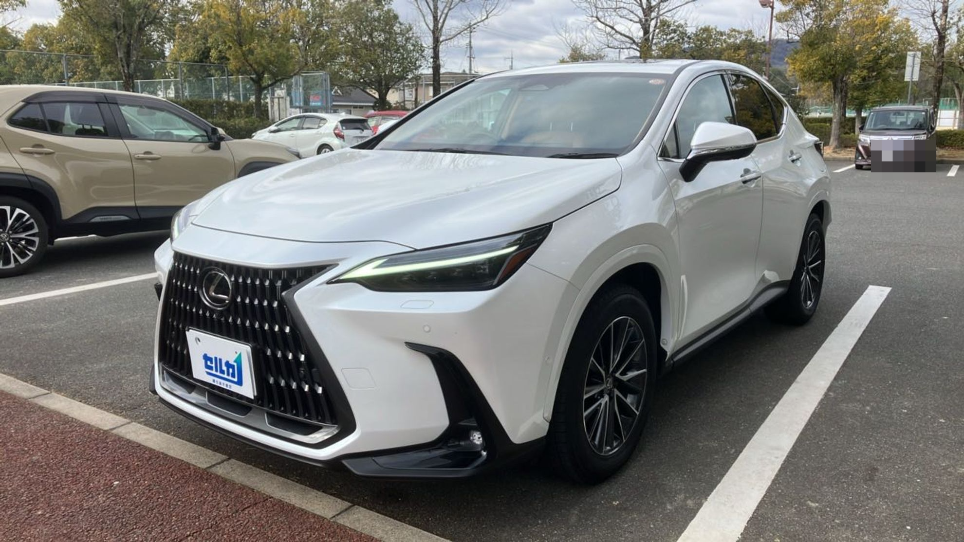 レクサス ＮＸの売買実績画像